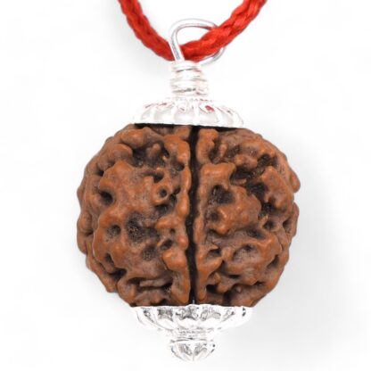 5-Mukhi-Rudraksha-Nepal-Pendant-Back