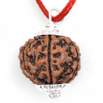 6-Mukhi-Rudraksha-Nepal-Silver-Pendant