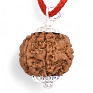 7-Mukhi-Rudraksha-Nepal-Pendant-Front