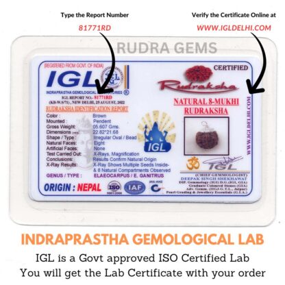 8-Mukhi-Rudraksha-Nepal-Lab-Certificate