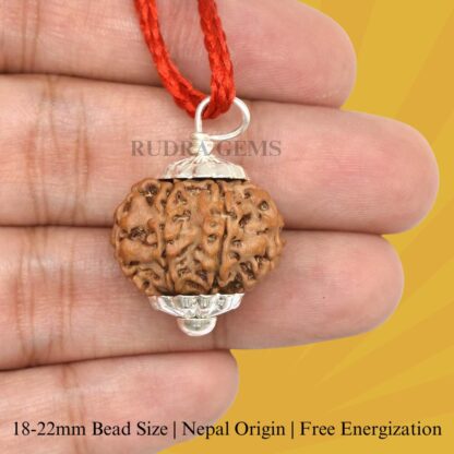 8-Mukhi-Rudraksha-Nepal-Silver-Pendant-Hand