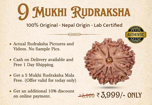 9 Mukhi Rudraksha