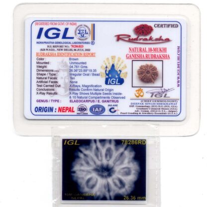 Ganesha-Rudraksha-Nepal-10-Certificate