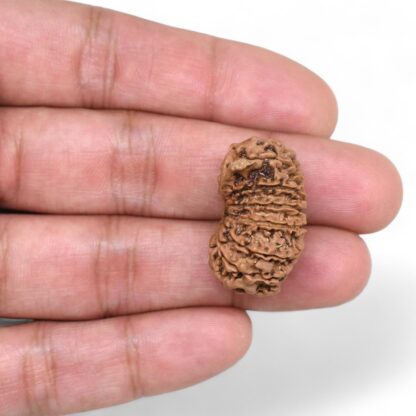 Ganesha-Rudraksha-Nepal-13-Hand