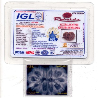 Ganesha-Rudraksha-Nepal-17-Certificate