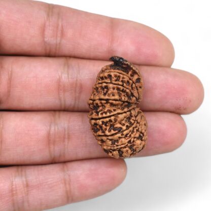 Ganesha-Rudraksha-Nepal-17-Hand