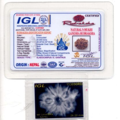 Ganesha-Rudraksha-Nepal-9-Certificate