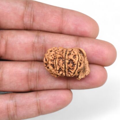 Ganesha-Rudraksha-Nepal-9-Hand