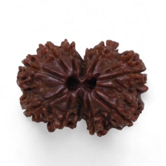 Gauri-Shankar-Rudraksha-Nepal-37