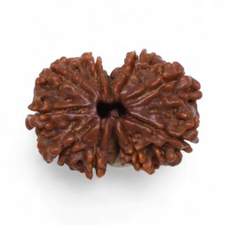 Gauri-Shankar-Rudraksha-Nepal-40