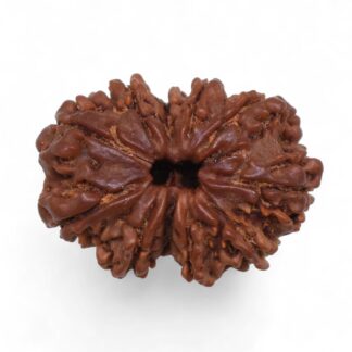 Gauri-Shankar-Rudraksha-Nepal-45